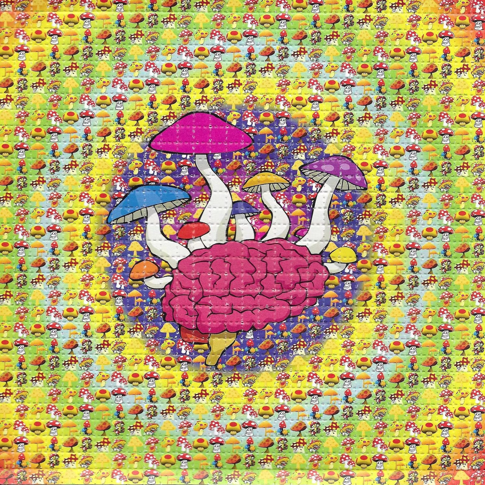 LSD-25 Tabs Mushroom Brain - Buy MDMA Canada LSD-25 Tabs Mushroom Brain